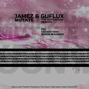 Jamez & Guflux - Mutate (Mutation Mixes)