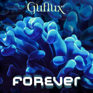 Guflux - Forever cover